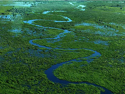 5 fatos surpreendentes sobre o Pantanal que pouca gente conhece
