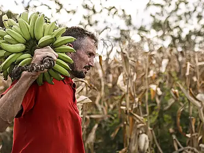 Câmara aprova uso de recursos do FGO no Pronaf e abre caminho para ampliar garantias no crédito da agricultura familiar