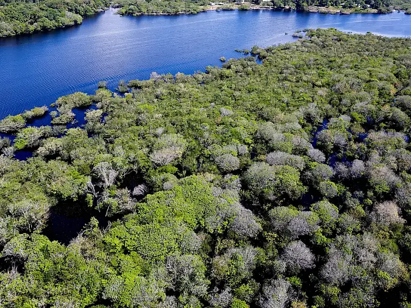 Governo federal lança edital de R$ 131,9 milhões para combater desmatamento na Amazônia em 48 municípios