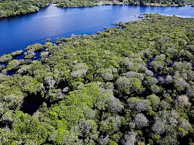 Governo federal lança edital de R$ 131,9 milhões para combater desmatamento na Amazônia em 48 municípios