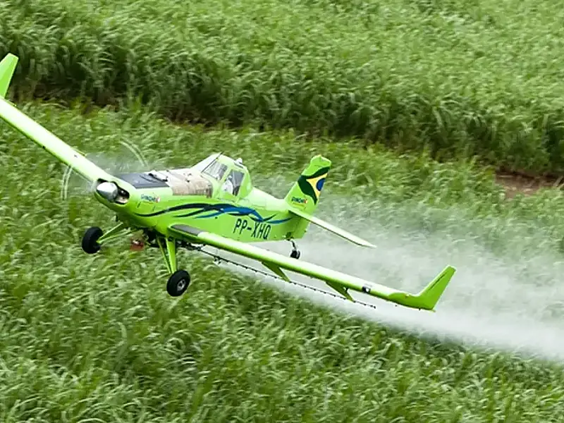 Estudo global revela aumento da toxicidade de pesticidas no mundo e desafios para metas ambientais