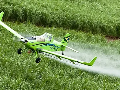 Estudo global revela aumento da toxicidade de pesticidas no mundo e desafios para metas ambientais