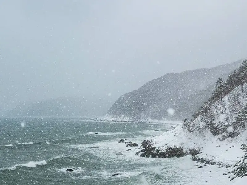 Neve intensa segue castigando costa do Mar do Japão com alertas para avalanches e interrupções no transporte