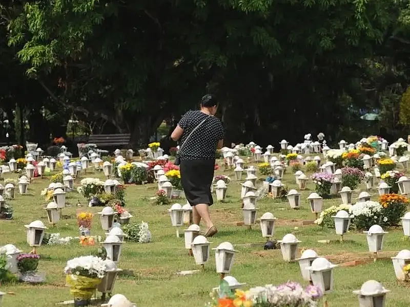Em São Paulo, cães e gatos já podem ser sepultados em jazigos familiares em cemitérios públicos e privados,