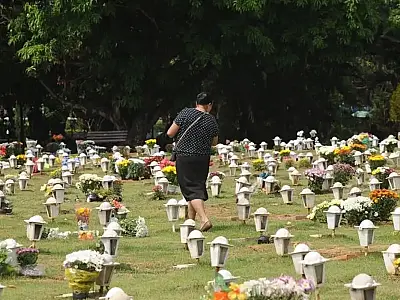 Lei em São Paulo passa a permitir sepultamento de cães e gatos em jazigos familiares