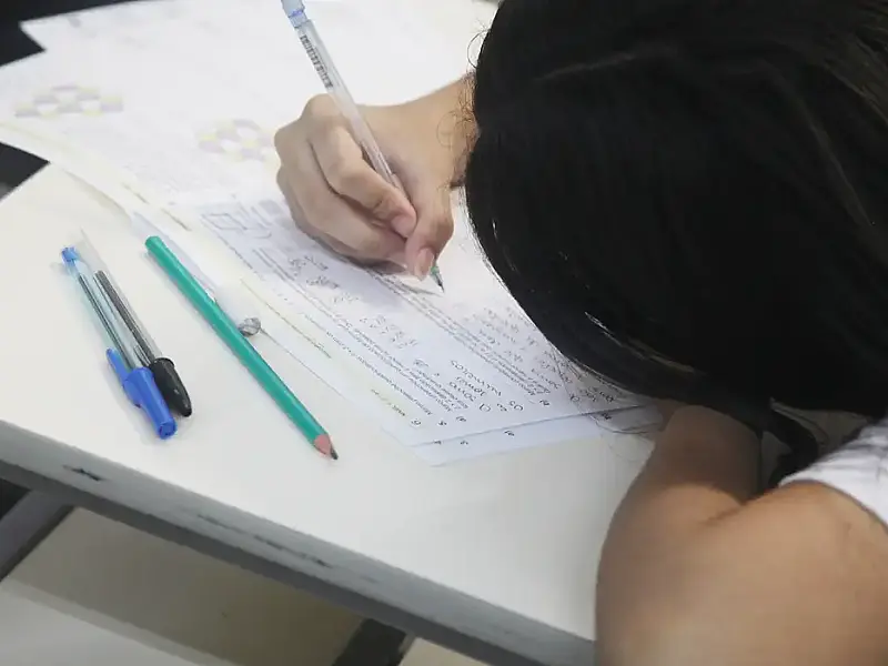 Segunda fase do Censo Escolar 2025 começou.