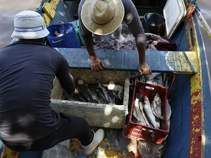 Governo libera 6º lote do Seguro-Defeso nesta terça: R$ 179,7 milhões para 110 mil pescadores
