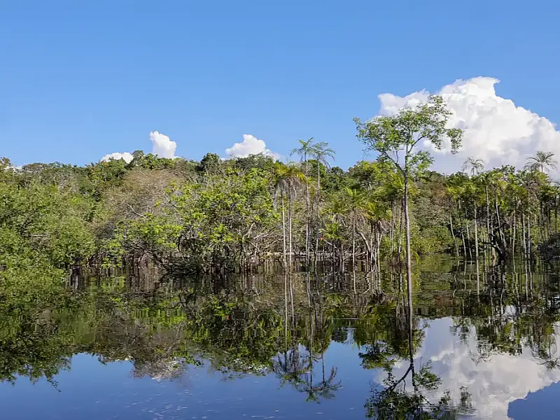 Governo informa captação de R$ 179 bilhões desde 2023 para transição ecológica, com Fundo Clima recorde de R$ 27,5 bilhões em 2026.