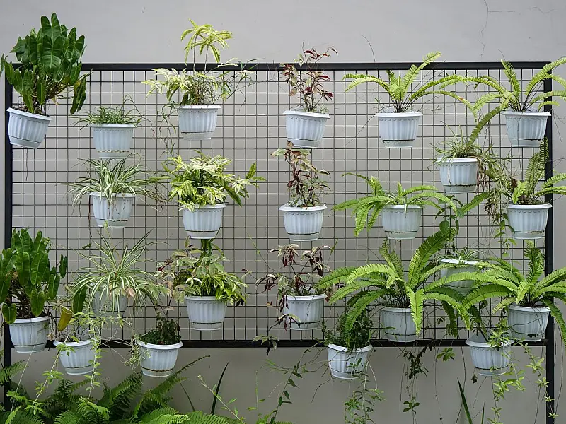 Plantas podem ajudar a decorar e melhorar o ambiente do banheiro.