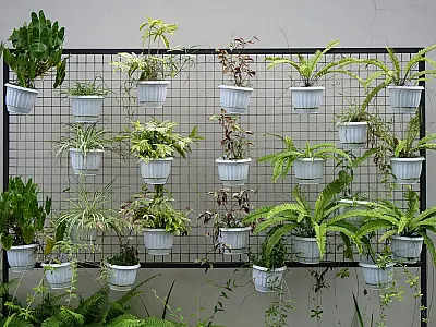 5 plantas ideais para ter no banheiro e que são fáceis de cuidar