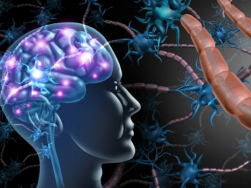 Ilustração de cérebro com tecnologia representando implante neural.