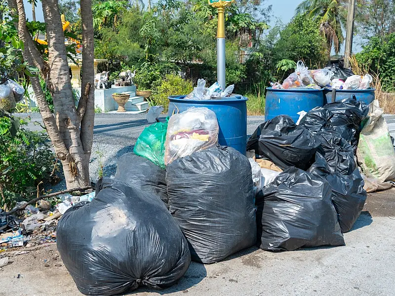 Projeto aprovado prevê punições mais severas para descarte irregular de lixo nas ruas.