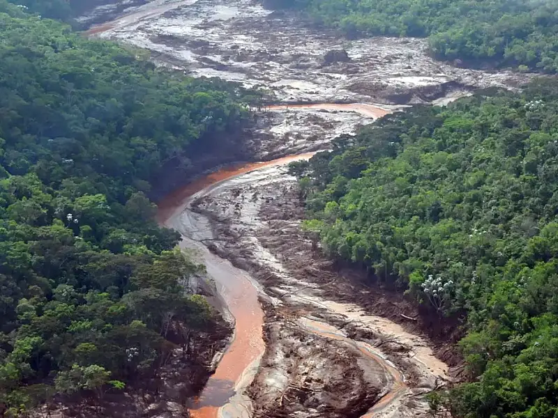 Projetos financiados pelo Fundo Rio Doce buscam recuperar áreas atingidas pela tragédia em Mariana.