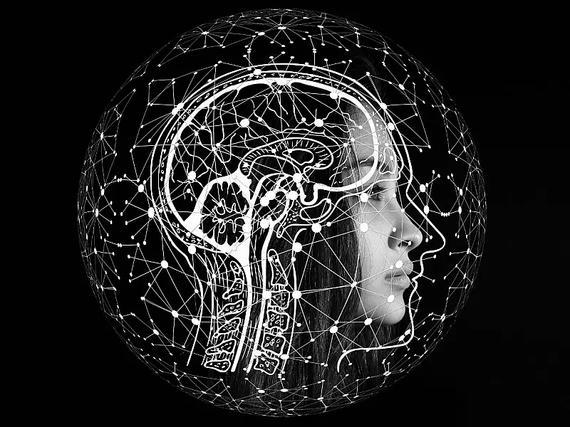 Exames de imagem constatam rejuvenescimento da estrutura cerebral em adultos que adotaram rotina aeróbica