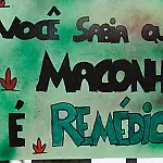 Cannabis medicinal no SUS: Ceará debate lei estadual sob forte mobilização social