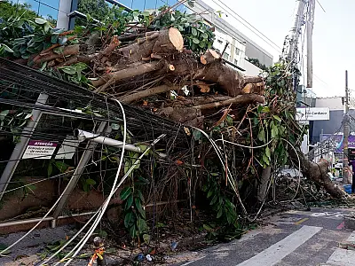 Ventanias devastadoras expõem o despreparo das metrópoles brasileiras diante dos extremos climáticos