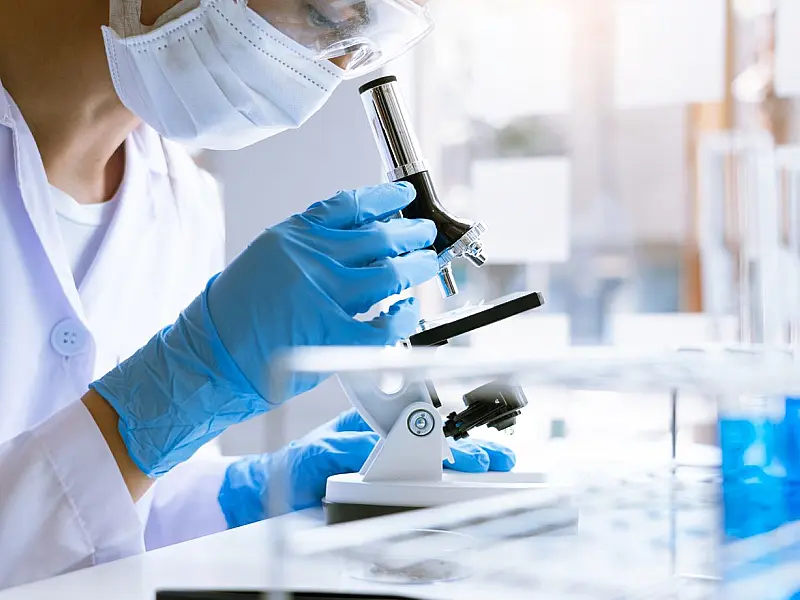Cientistas investigam o comportamento de proteínas celulares para desenvolver novos tratamentos contra o câncer