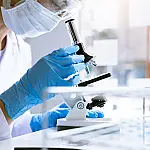 Proteína sindecam-4 é identificada por cientistas como chave para frear metástase do câncer