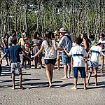 Música e preservação: o projeto que usa a flauta para salvar os manguezais do Rio