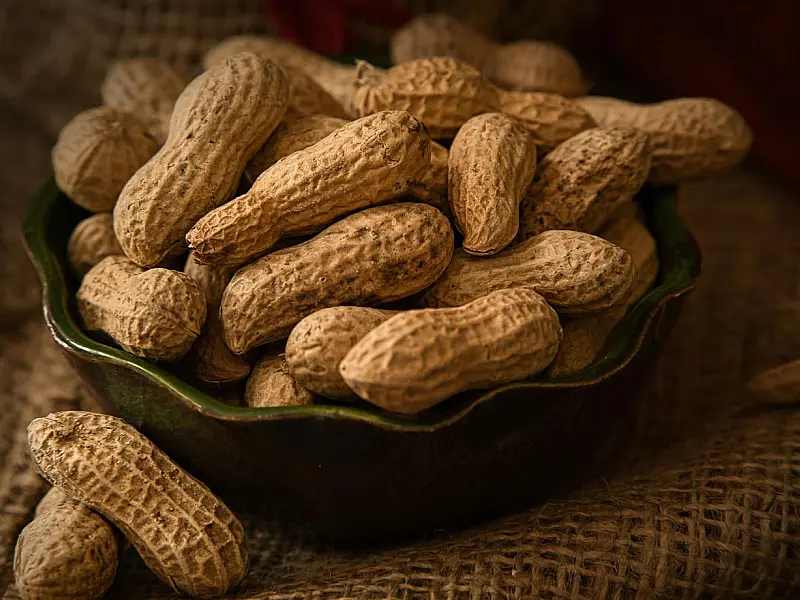Grão vegetal é opção prática para reforçar a quantidade de nutrientes na alimentação