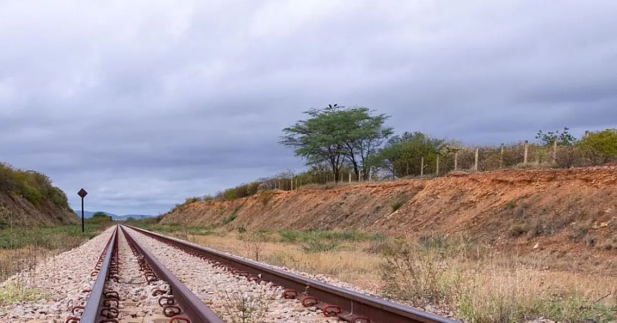 Transnordestina em Pernambuco: Estudo enviado ao TCU revela impacto bilionário e projeta 22 mil empregos