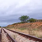 Transnordestina em Pernambuco: Estudo enviado ao TCU revela impacto bilionário e projeta 22 mil empregos