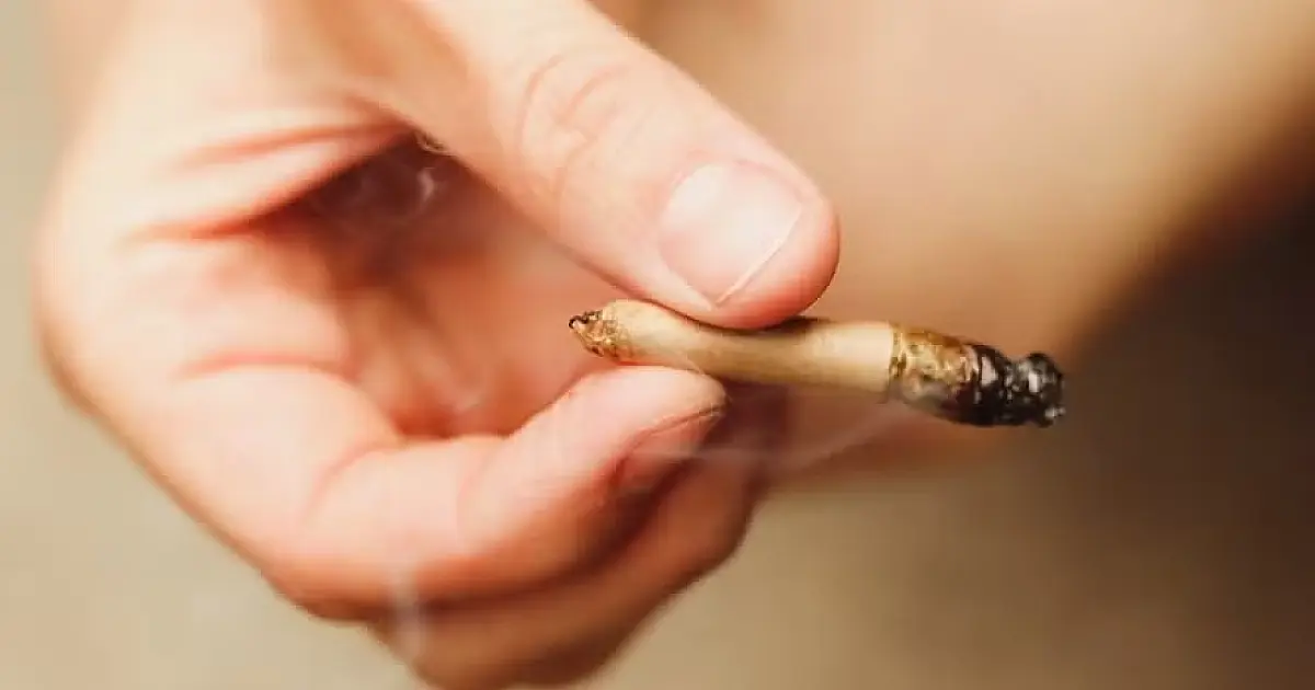 O perigo oculto da "creepy": como a supermaconha com teor extremo de THC ameaça a saúde mental dos jovens
