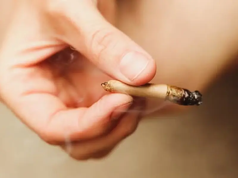 O perigo oculto da "creepy": como a supermaconha com teor extremo de THC ameaça a saúde mental dos jovens