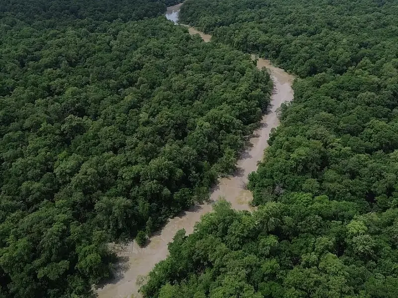 Imagem aérea de área de floresta preservada na Amazônia sob luz solar intensa.