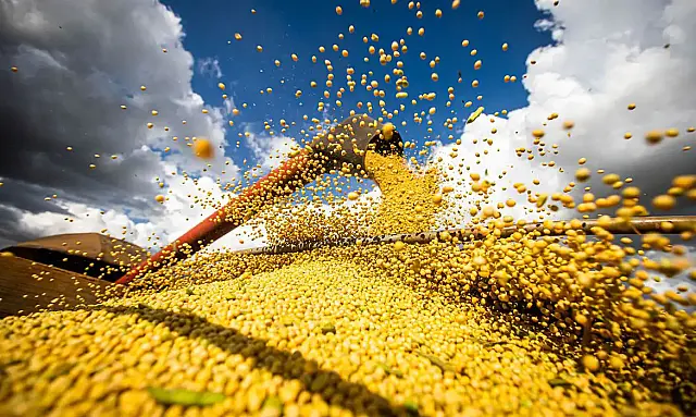 Safra de grãos deve bater 360 milhões de toneladas, mas trigo e arroz geram alerta
