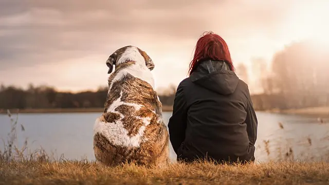 Mulher sentada em um parque ao ar livre ao lado de seu cachorro de estimação.