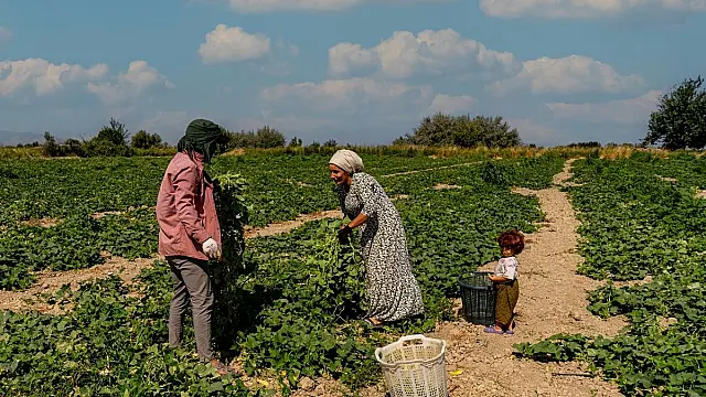 Projeto de lei autoriza venda intermunicipal e interestadual de produtos artesanais da agricultura familiar.
