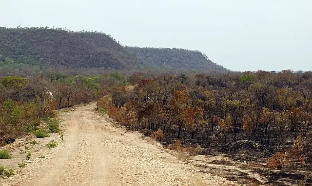 Perda de vegetação nativa deixa o Brasil mais exposto e vulnerável aos extremos do El Niño