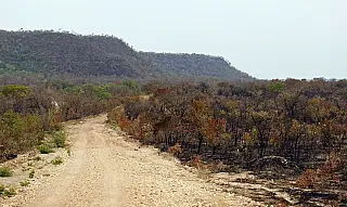 Perda de vegetação nativa deixa o Brasil mais exposto e vulnerável aos extremos do El Niño