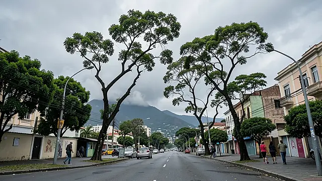 Defesa Civil alerta para ventos fortes e chuva no Rio com chegada de frente fria