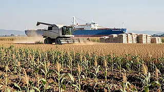 Brasil reforça papel na segurança alimentar global, mas dependência de fertilizantes pressiona margens