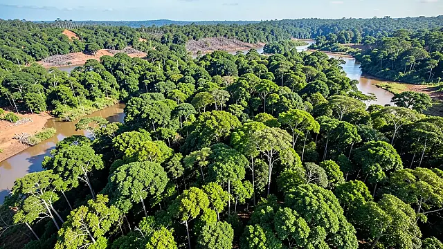 Liderança indígena cobrará na ONU retirada de invasores da Terra Uru-Eu-Wau-Wau