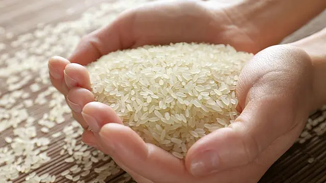 Mãos segurando uma quantidade de grãos de arroz sobre uma mesa de cozinha.
