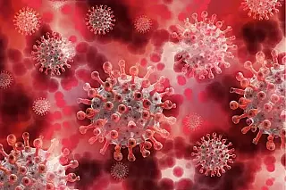 França registra a primeira infecção humana pelo vírus Shamonda no mundo após morte de paciente