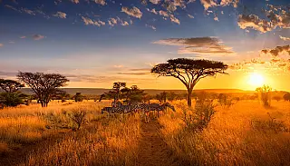 Cientistas encontram crosta de apenas 13 km na África e revelam avanço da separação do continente