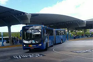 Grande Recife altera rotas de quatro linhas de ônibus a partir desta segunda (26); confira novos percursos