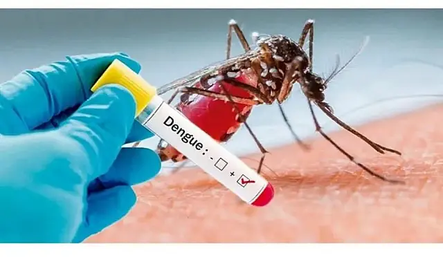 Pernambuco confirma sétima morte por dengue em 2026; Recife lidera casos prováveis