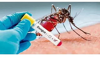 Pernambuco confirma sétima morte por dengue em 2026; Recife lidera casos prováveis
