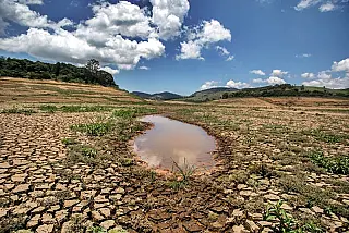 Estiagem deixa 106 municípios de Pernambuco em situação de emergência