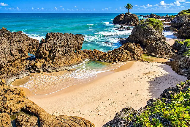 Praia de Tambaba: conheça o paraíso de falésias e mar cristalino para visitar no feriadão
