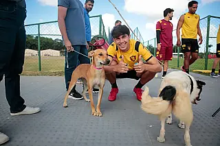 Sport lança projeto Meu AUmigo Rubro-Negro para incentivar adoção responsável de animais