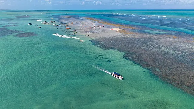 Feriado de Finados: seis trechos de praias de Pernambuco estão impróprios para banho; veja a lista