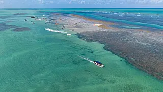 Feriado de Finados: seis trechos de praias de Pernambuco estão impróprios para banho; veja a lista